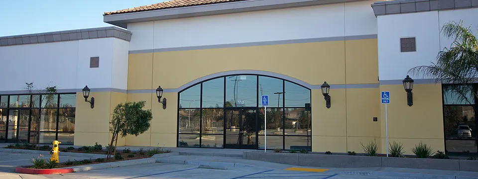 Pacific Beach Lead Glass Door