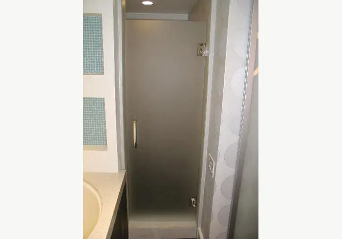 Frameless Pivot Shower Door in North Park, California